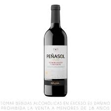 PENASOL SLIM TINTO 1 LITRE